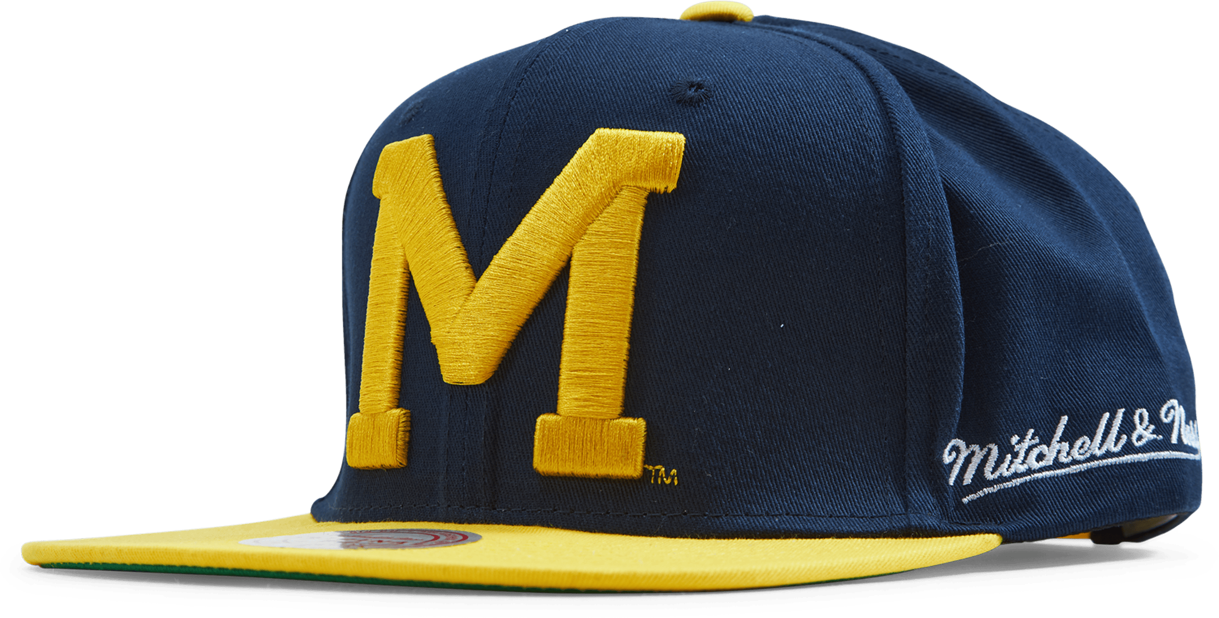 Michigan Back In Action Snapback