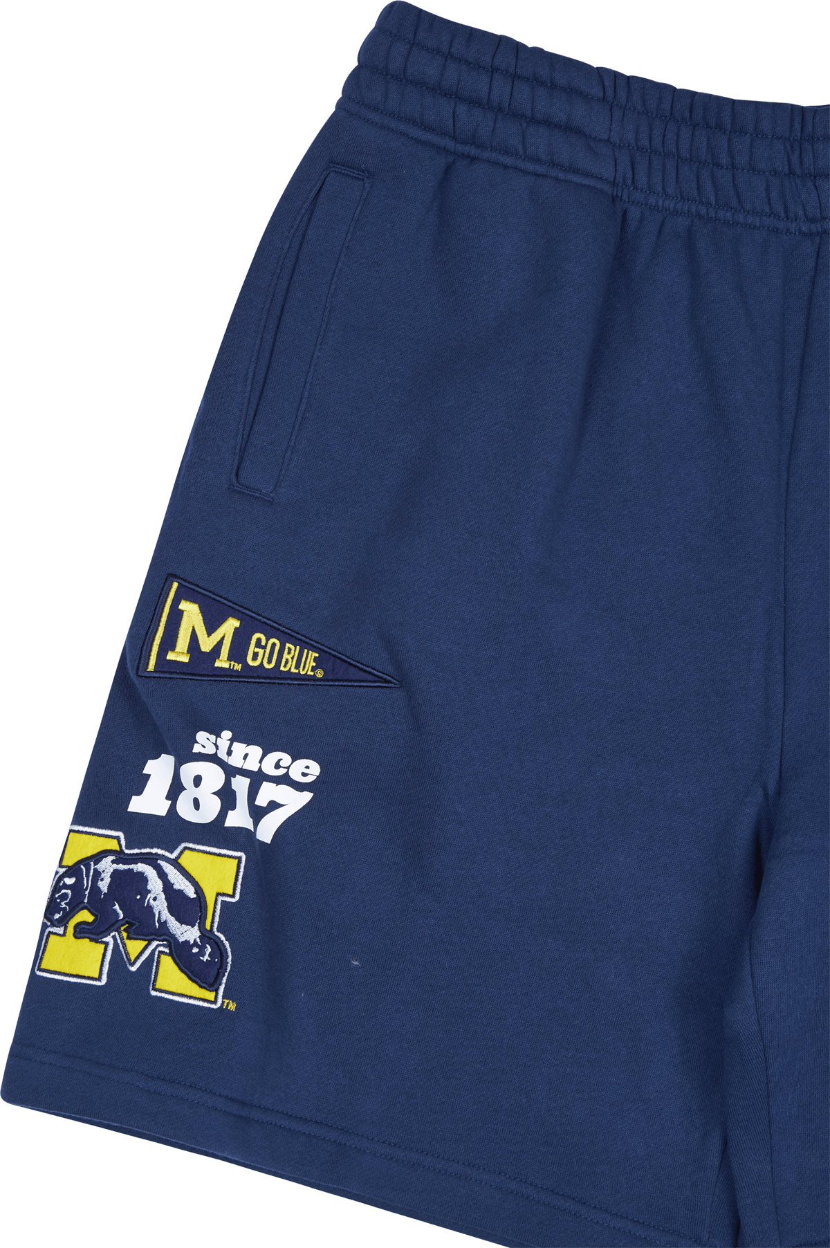 Michigan Team Origins Fleece Short