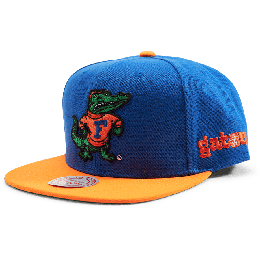 Gators Team Origins Snapback