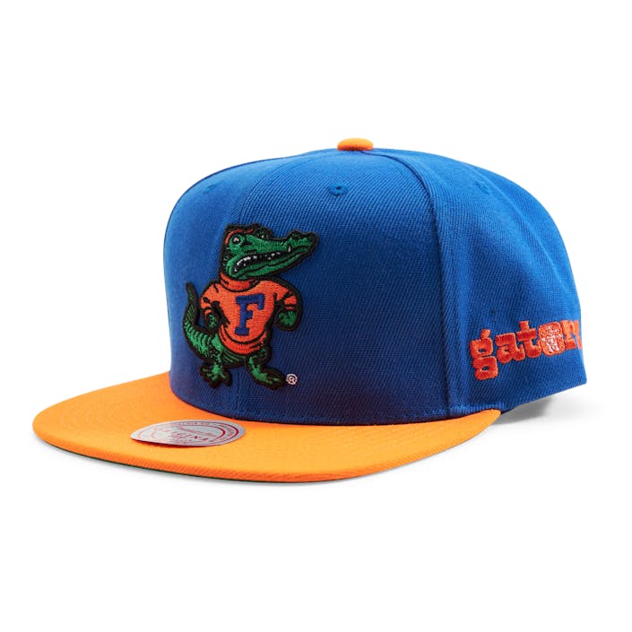 Gators Team Origins Snapback, Unisex, Apparels, Hats & Caps, Blue, ONESIZE