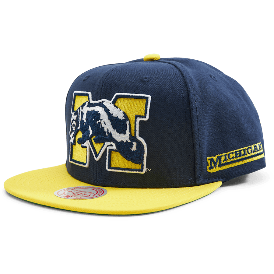 Michigan Team Origins Snapback