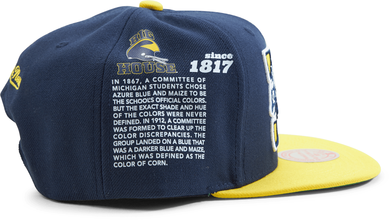 Michigan Team Origins Snapback - Bild 4