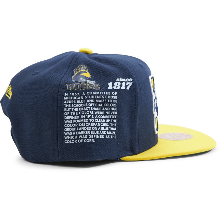 Michigan Team Origins Snapback - Bild 4
