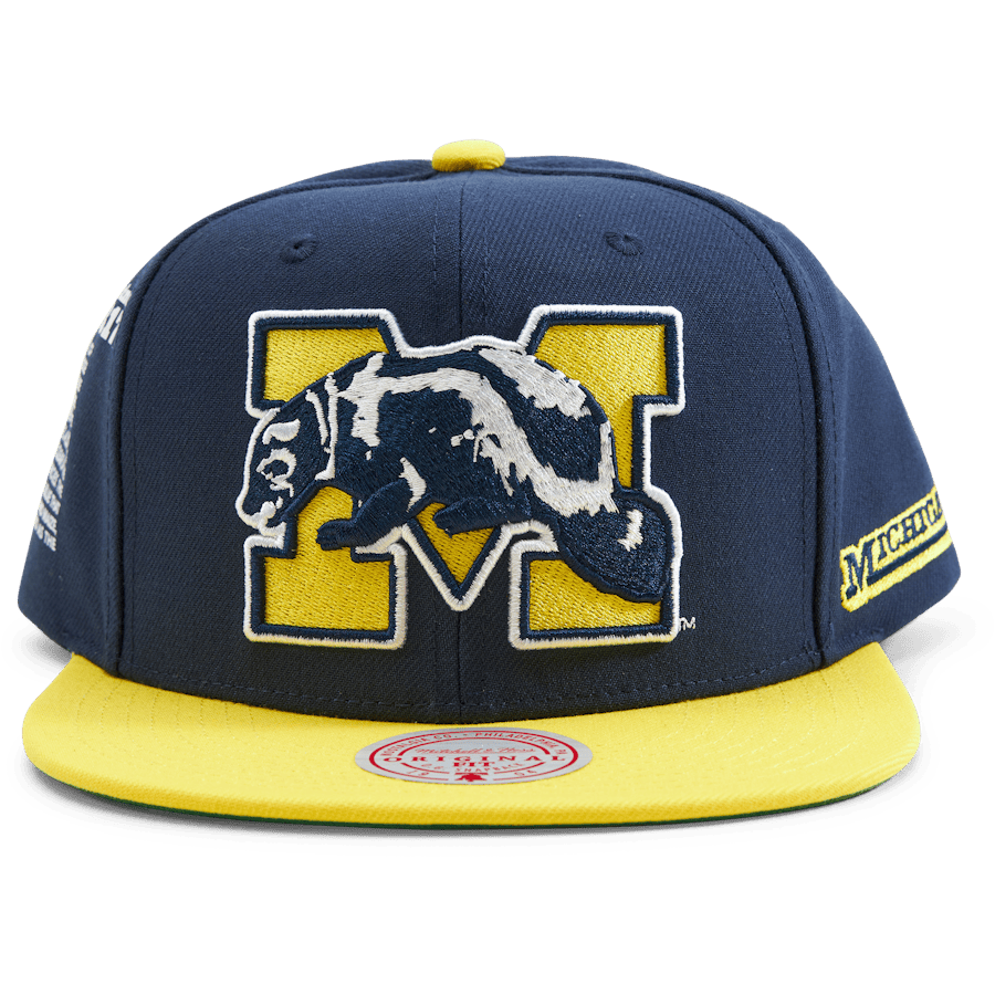 Michigan Team Origins Snapback - Bild 5