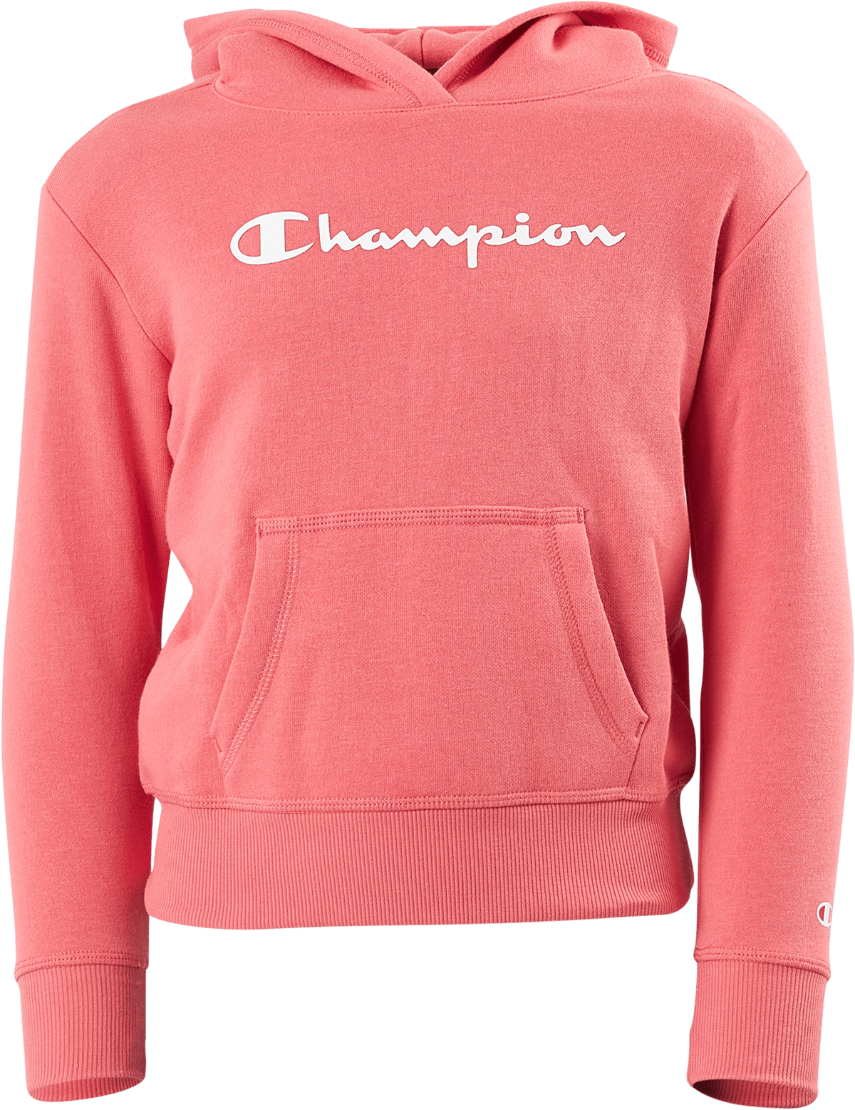 Hooded Sweatshirt Ps171