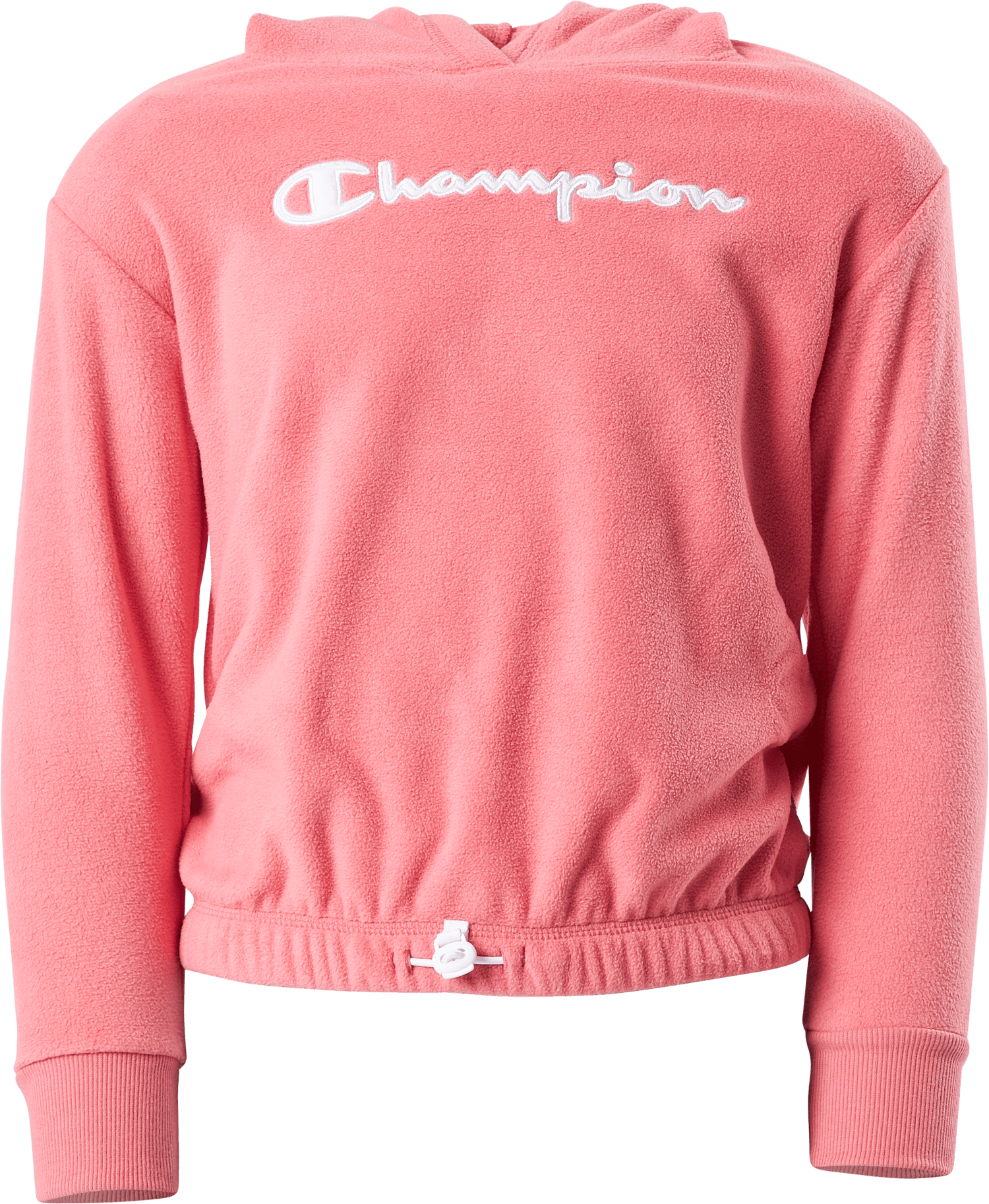 Hooded Sweatshirt Ps171