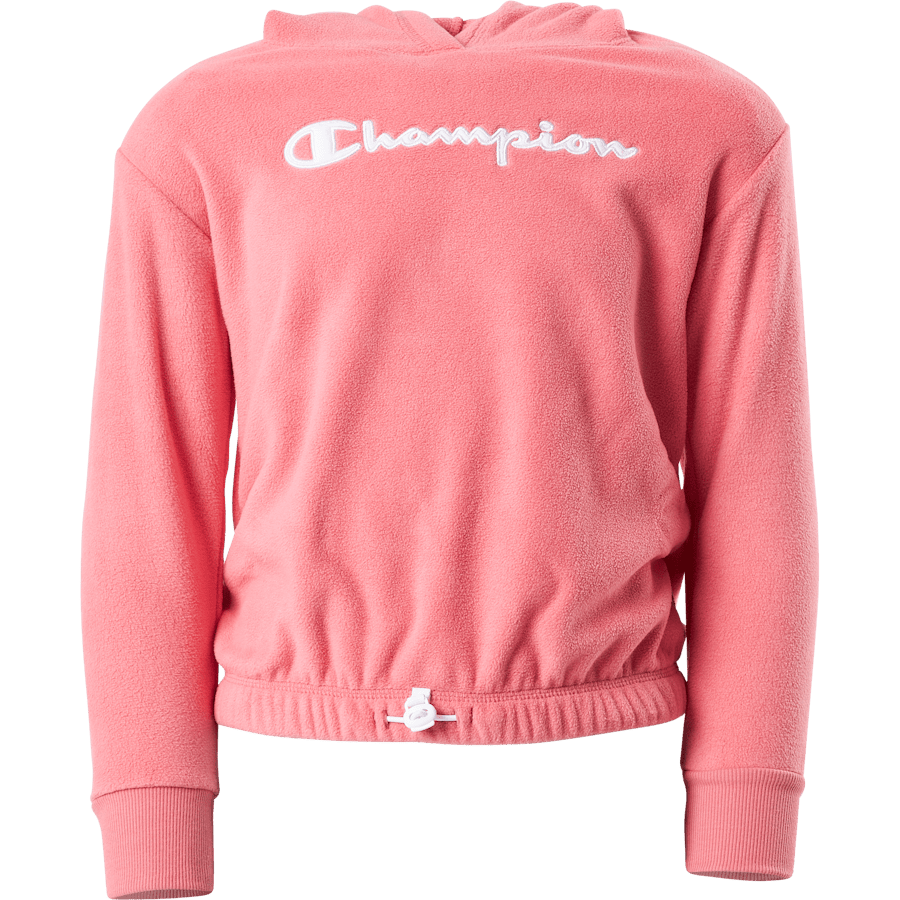 Hooded Sweatshirt Ps171