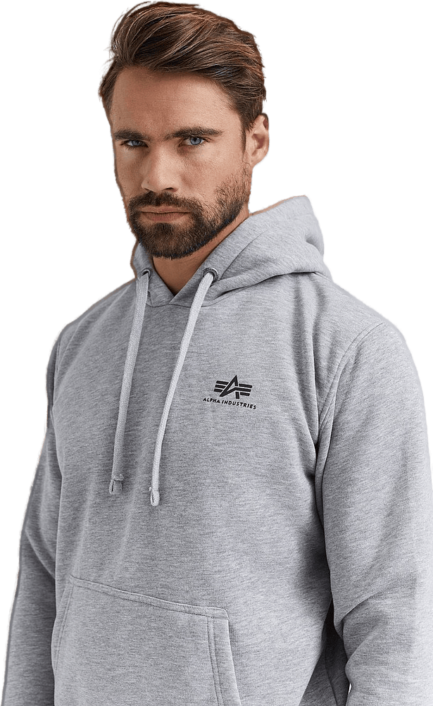 Basic Hoody Small Logo, Male, Apparels, hoodies and sweatshirts, Grey, L