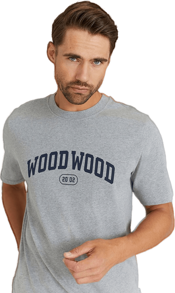 Bobby Ivy T-shirt 1003 Grey Melange