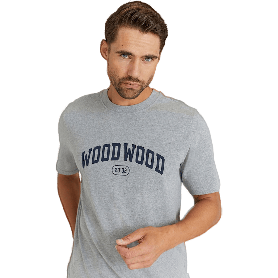 Bobby Ivy T-shirt 1003 Grey Melange