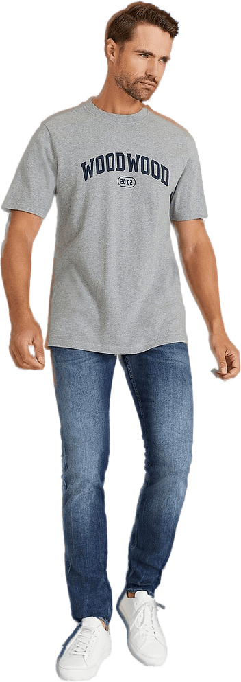 Bobby Ivy T-shirt 1003 Grey Melange - Bild 3