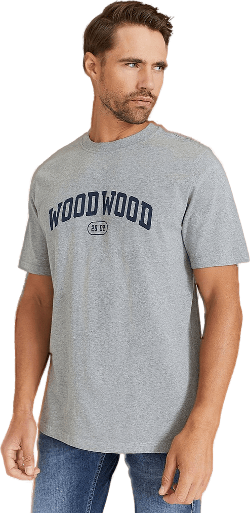 Bobby Ivy T-shirt 1003 Grey Melange - Bild 4