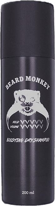 Boosting Dry Shampoo, Male, Utrustning, skönhet, ONESIZE