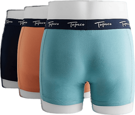 Men’s Regular Boxer 3-p Mixed