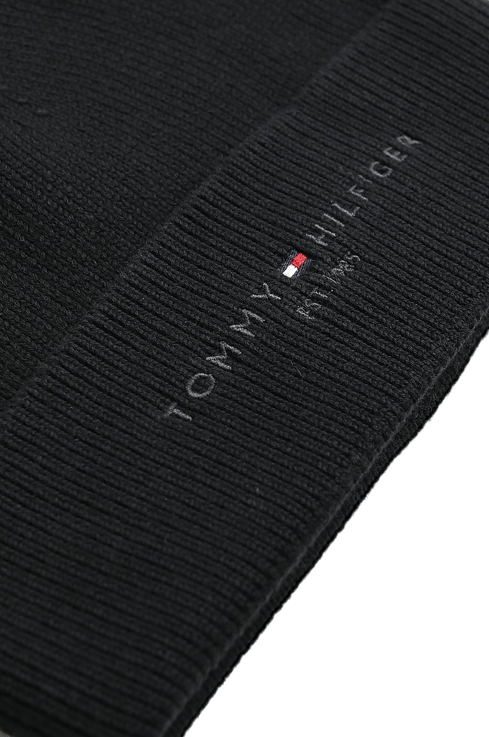 Th Established Beanie