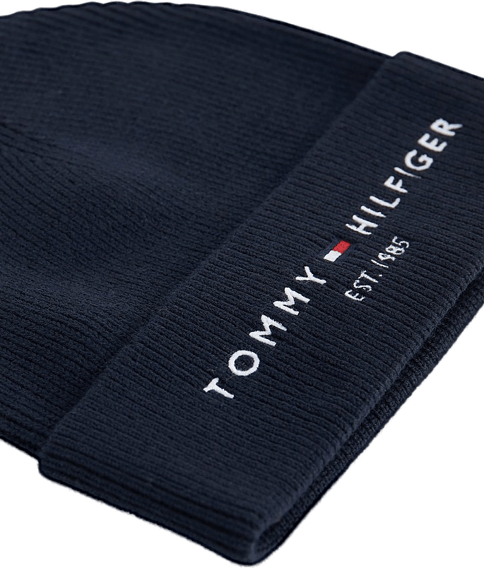 Th Established Beanie