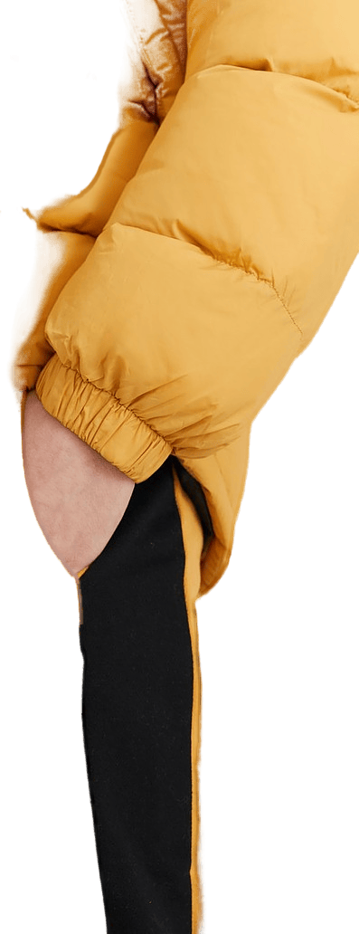 Logo Jogging Bottoms 589 Ochre