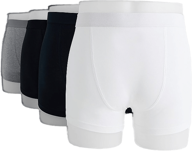 4-pack Boxer Brief