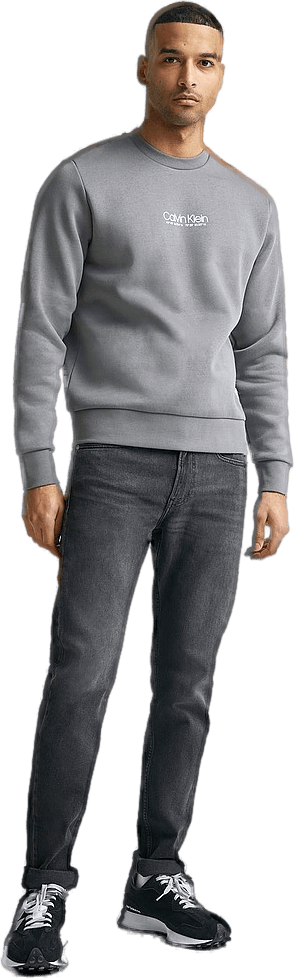 Logo Coordinates Sweatshirt Pewter - Bild 3