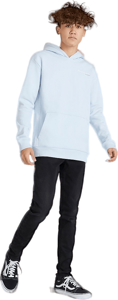 Logo Hoodie Cloudy Blue - Bild 3