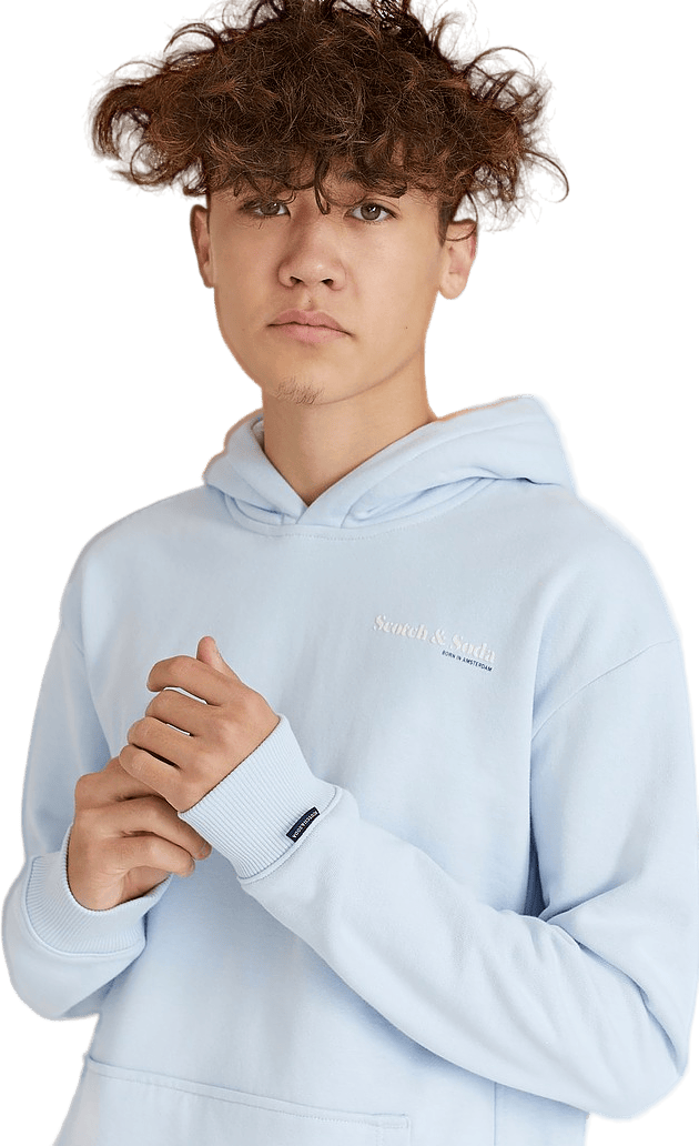 Logo Hoodie Cloudy Blue - Bild 4