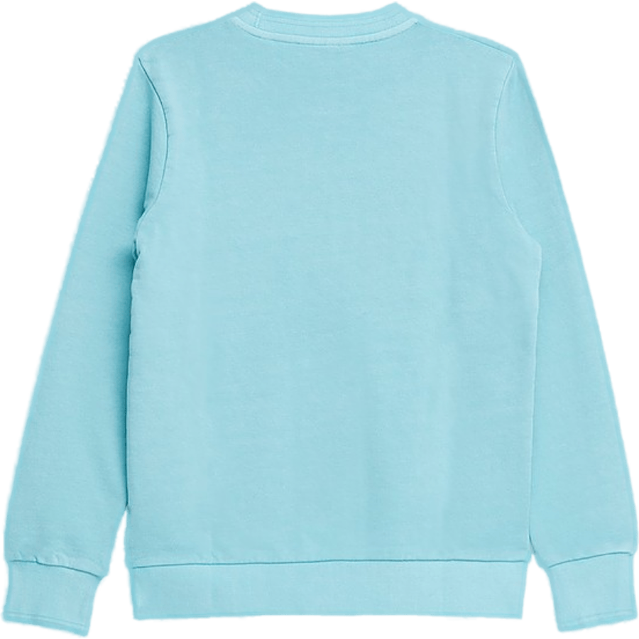 Sweats Seafoam