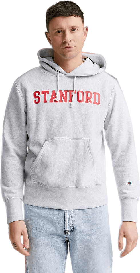Hooded Sweatshirt, Male, Klær, hettegensere og gensere, Grå, S