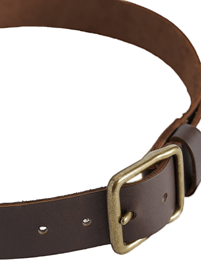 Belt Amber, Male, Equipment, other accessories, W40