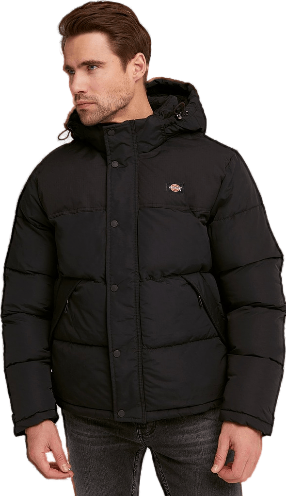 Dickies Glacier View Coat, Male, Apparels, jackets, Black, L