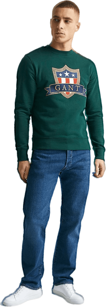 D1. Gant Banner Shield C-neck Tartan, Male, Apparels, hoodies and sweatshirts, Blue, S