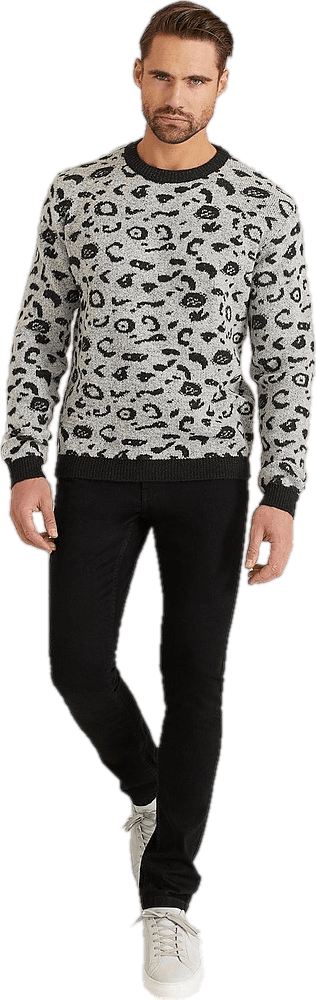 Studio Total Studio Total Chris Jaquard Leo Knit, Male, Odevy, Tops, pulóvre, Viacfarebná, S