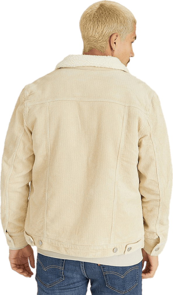 Studio Total Trucker Jacket Cord - Bild 2
