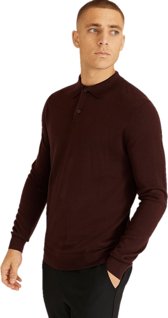 Studio Total Merino Ls Polo, Male, Odevy, Tops, pulóvre, Hnedá, L