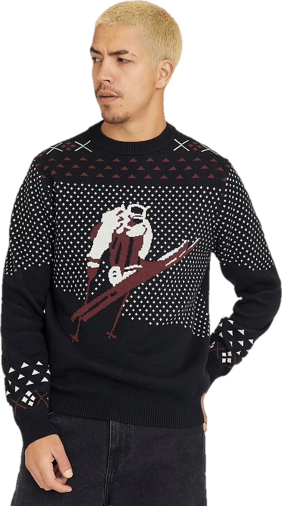 Studio Total Ski Jaquard Knit