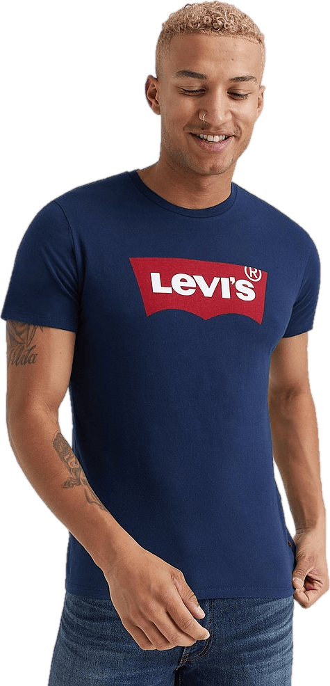 Graphic Setin Neck Graphic H21 Hm Graphic, Male, Klær, Tops, Blå, XS