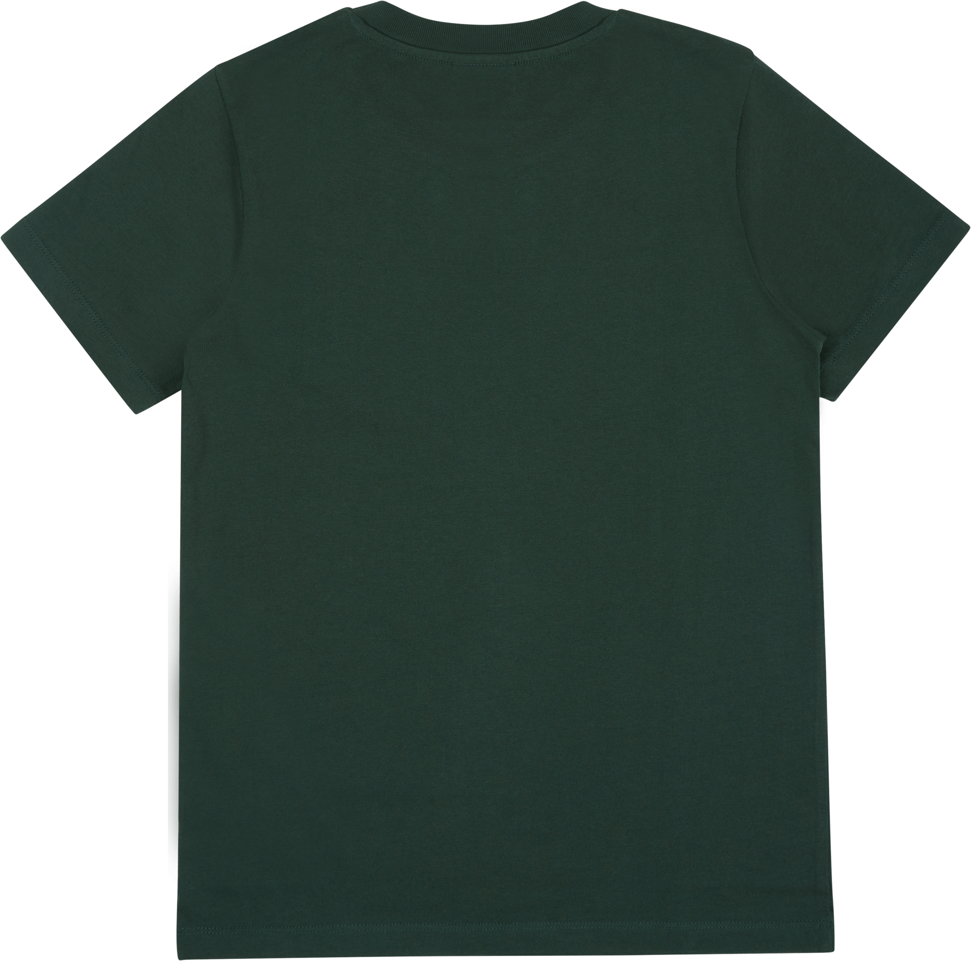 Regular-fit Short-sleeved Ches Fern - Bild 2