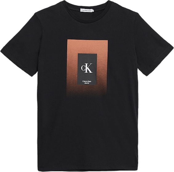 Gradient Box Logo T-shirt Beh - Ck Black, Unisex, Odzież, Tops, Czarny, 164