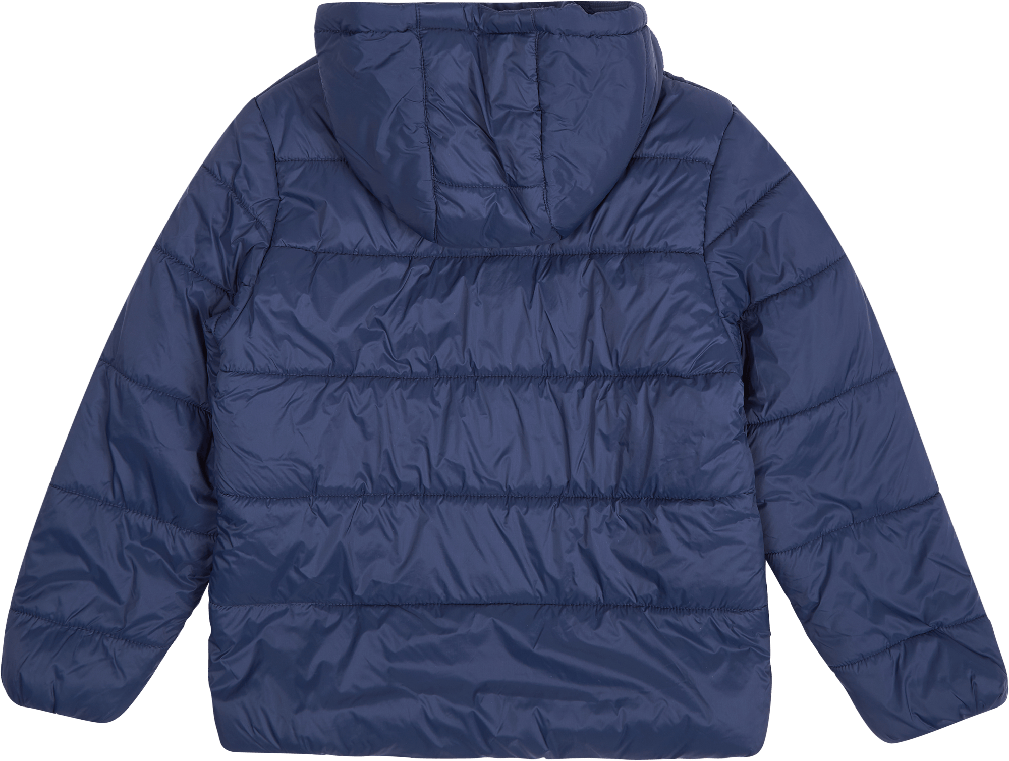 Buniel Padded Jacket Medieval Blue - Bild 2