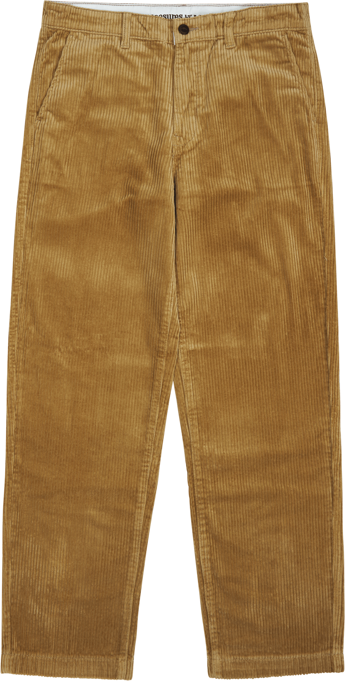 Relaxed_chino Ammonite