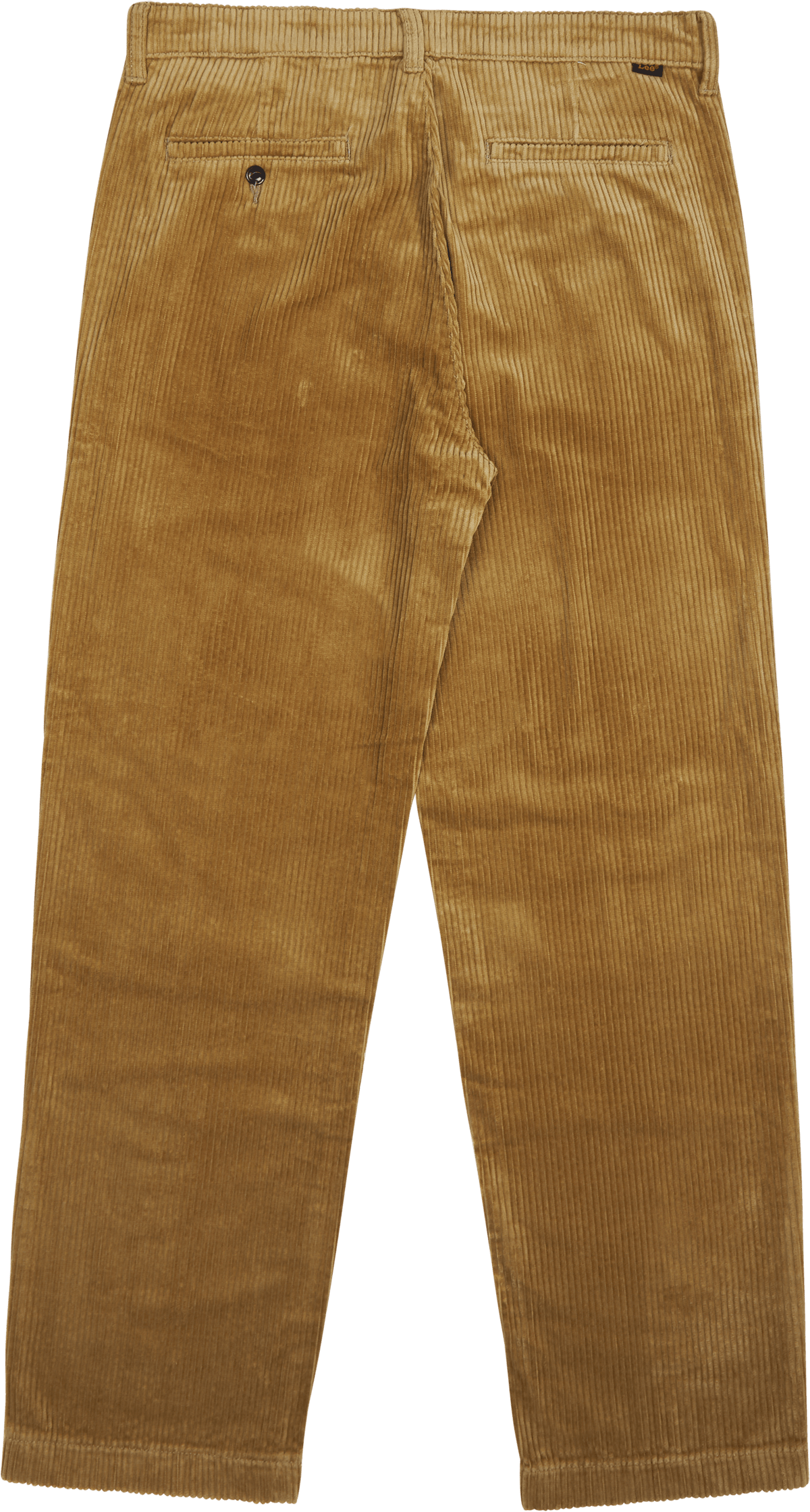 Relaxed_chino Ammonite - Bild 2