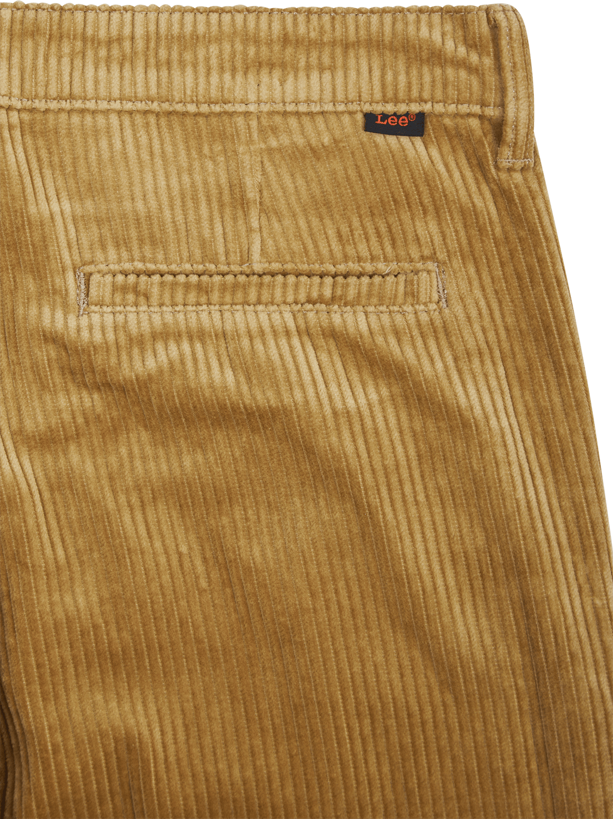 Relaxed_chino Ammonite - Bild 4