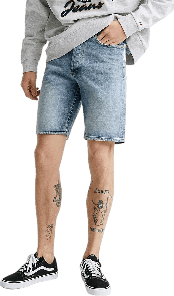 Dash Shorts Stone Cast Vintage - Bild 5