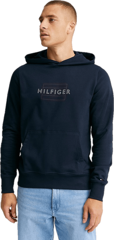 Tommy Hilfiger Linear Flag Hoody Dw5, Male, Apparels, hoodies and sweatshirts, Blue, XL