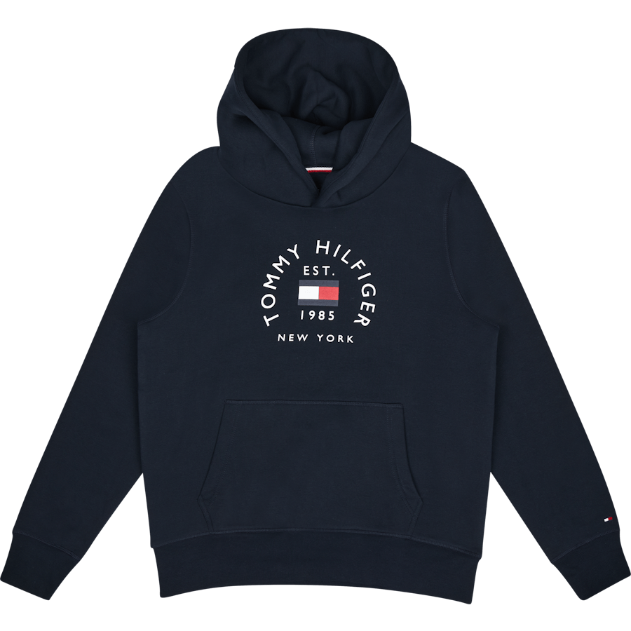 Hilfiger Flag Arch Hoody Dw5