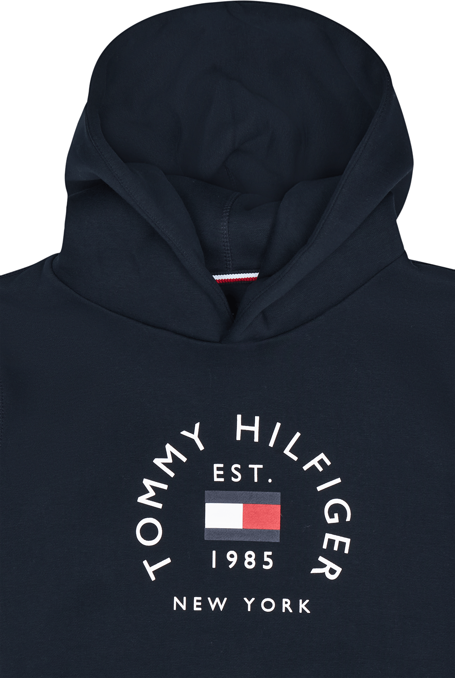 Hilfiger Flag Arch Hoody Dw5 - Bild 3