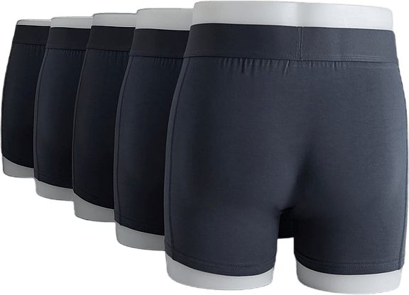 5-pack Boxer Organic Cotton Stone