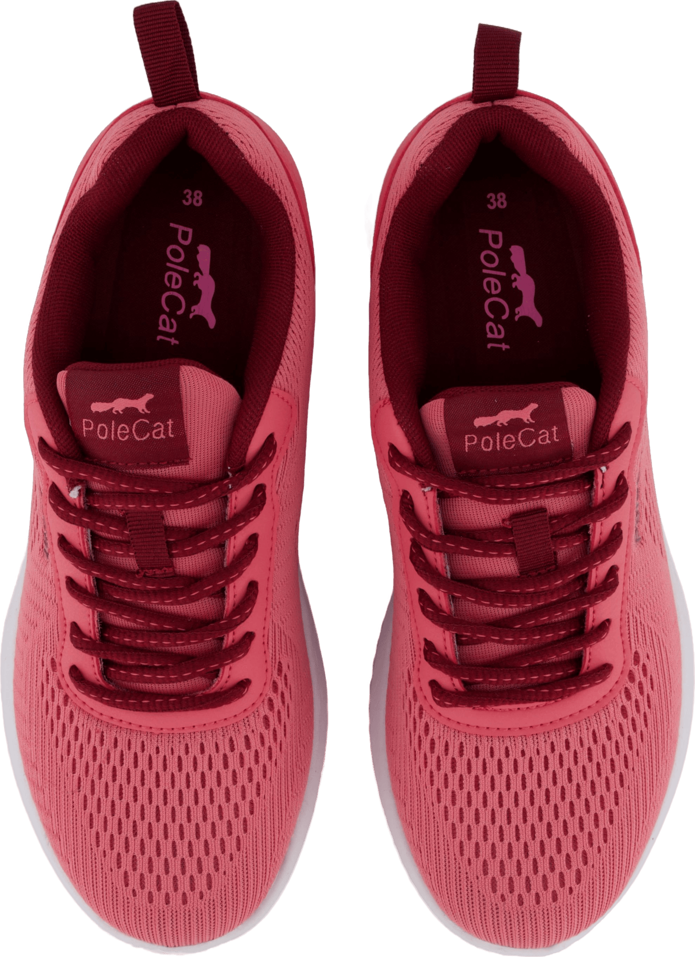 Credo Iowa Fuchsia - Bild 6