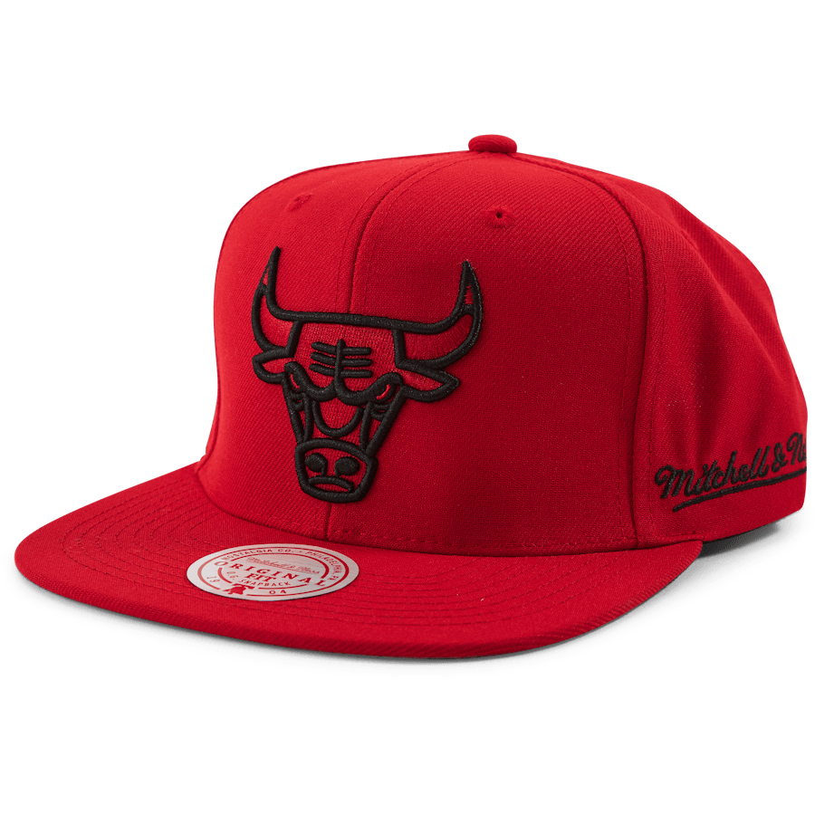 Christmas Day Snapback