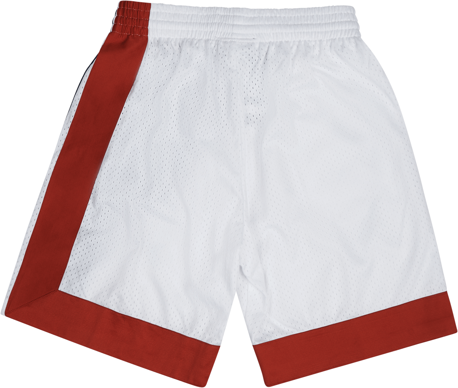 Nets Swingman Shorts 73-74