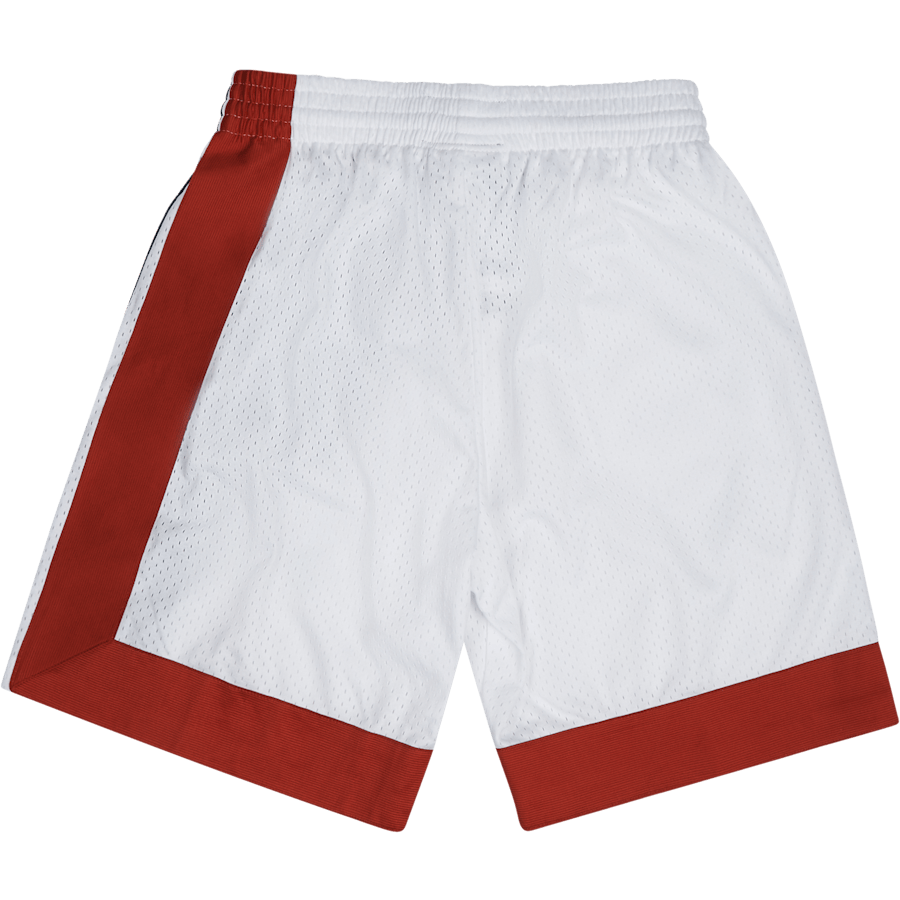 Nets Swingman Shorts 73-74